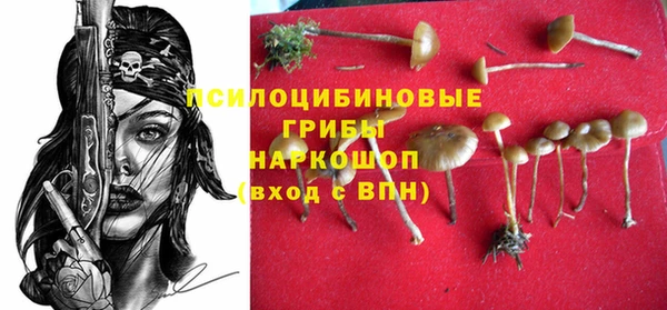 PSILOCYBIN Вязники